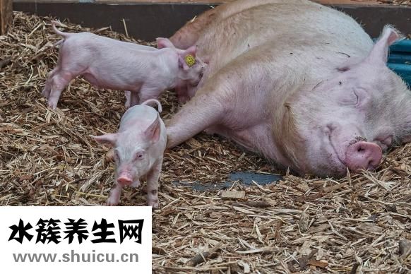 宝宝扭伤筋骨怎么办