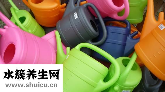 肚子上肉太多怎么办