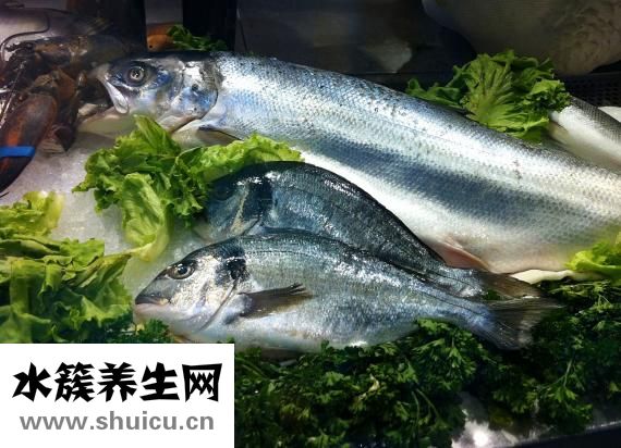 墨鱼炒蛋怎么做