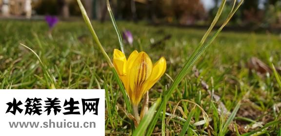 筱怎么改名