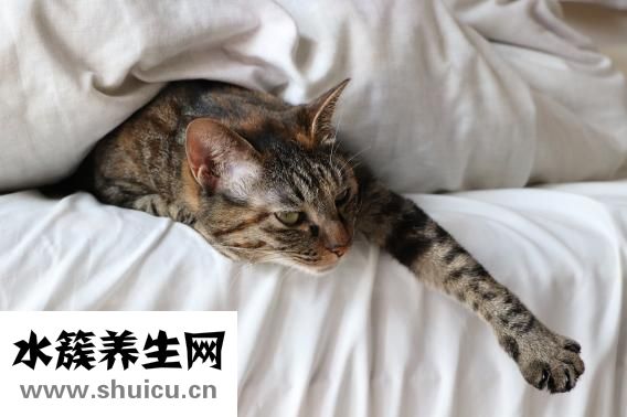 怎么对老婆