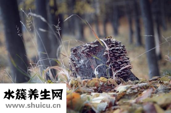 耳朵里有耳钉怎么办