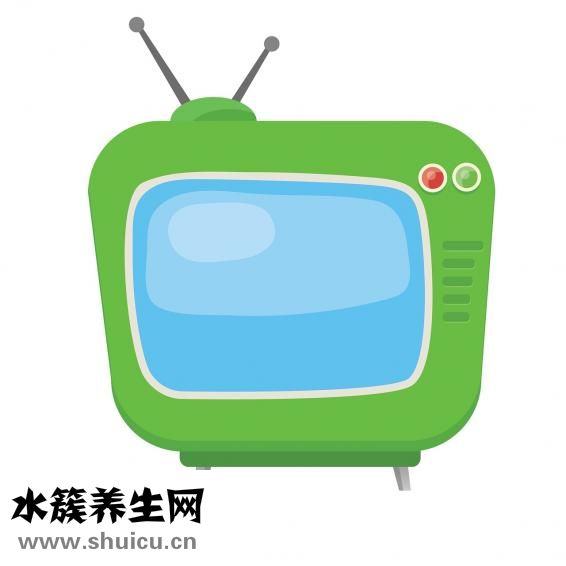 怎么制作粉丝