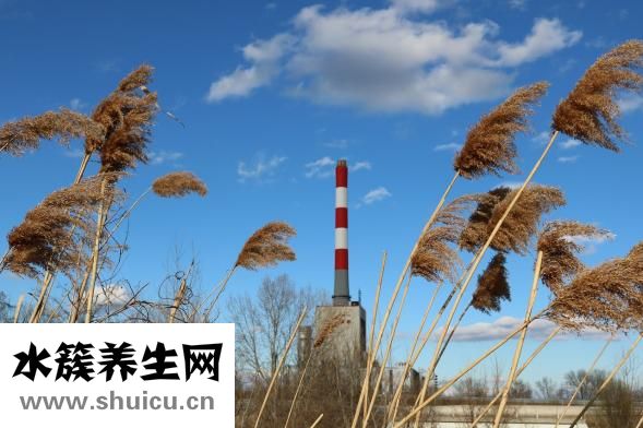 羽绒服褪色了怎么办