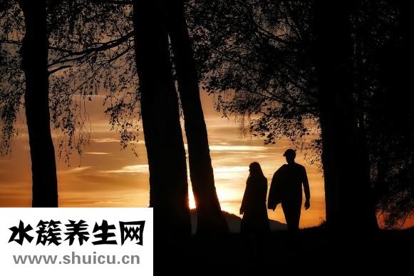 朋友圈的全文怎么发