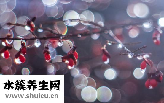 寒气重的症状怎么办