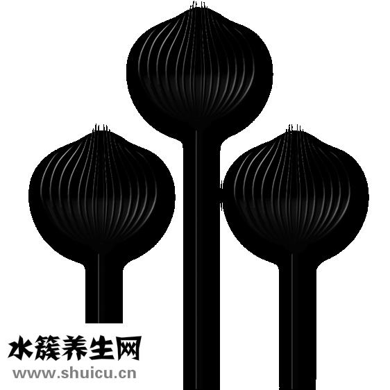 红薯泥怎么保存