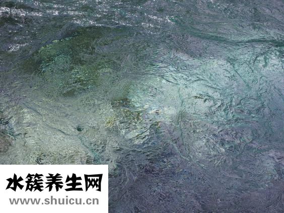 贴吧怎么粉别人