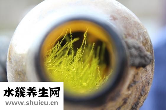 牛牛环怎么用