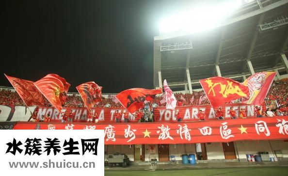 白萝卜怎么保存
