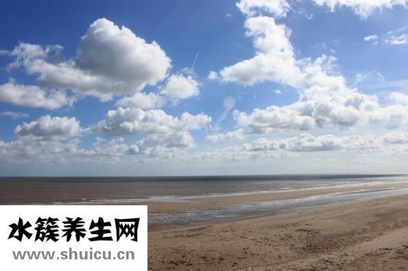 木菜板上脏怎么处理