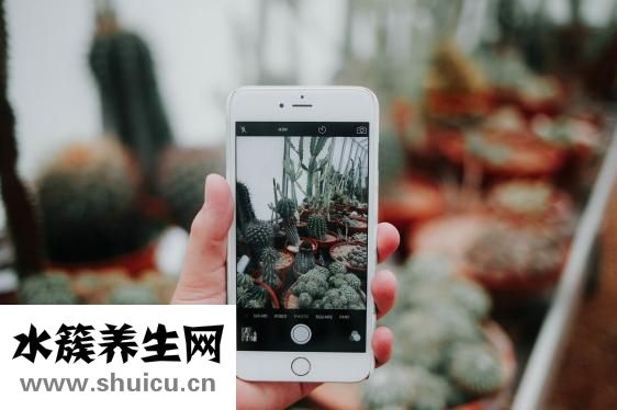 朋友圈的全文怎么发