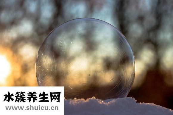 苦楝子怎么能治头癣