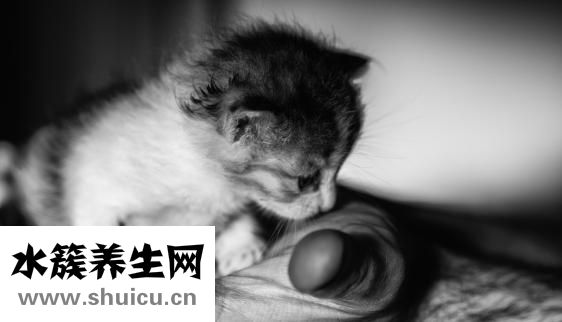 宝宝扭伤筋骨怎么办