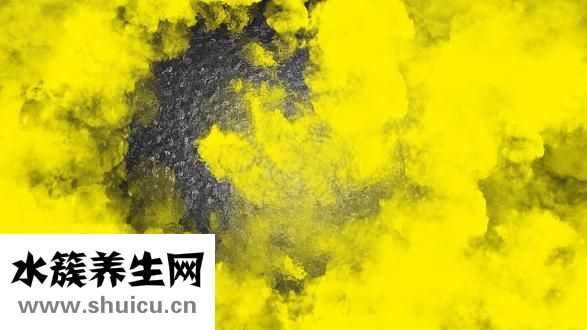 素描菠萝怎么画