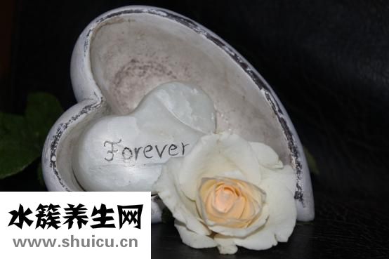 菜心跳甲怎么办