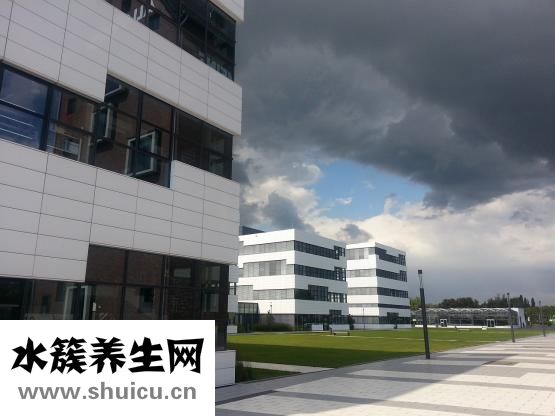 肺癌扩散了怎么办