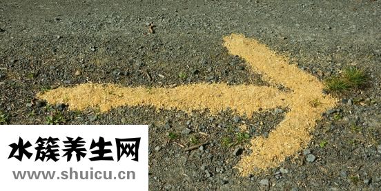 腌好的鸡蛋怎么保存