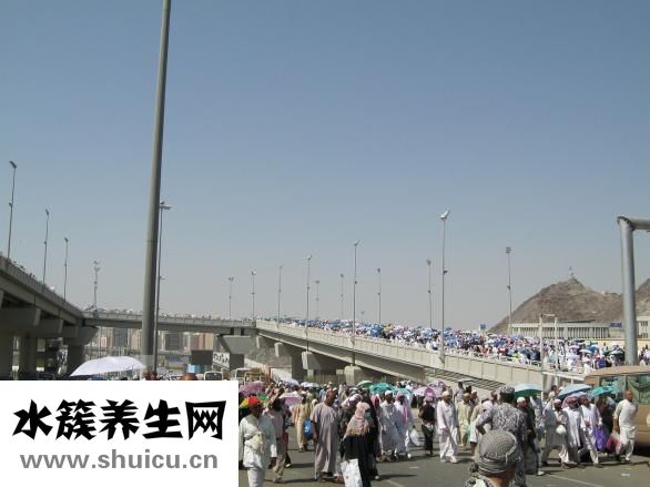 竹炭狗怎么放得稳