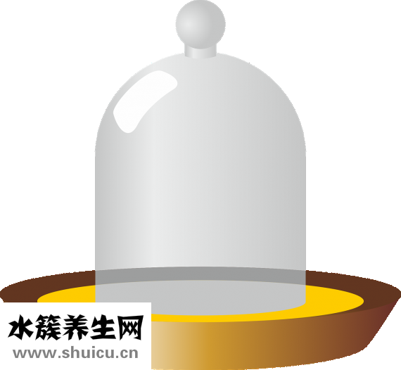孩子饮食习惯怎么填