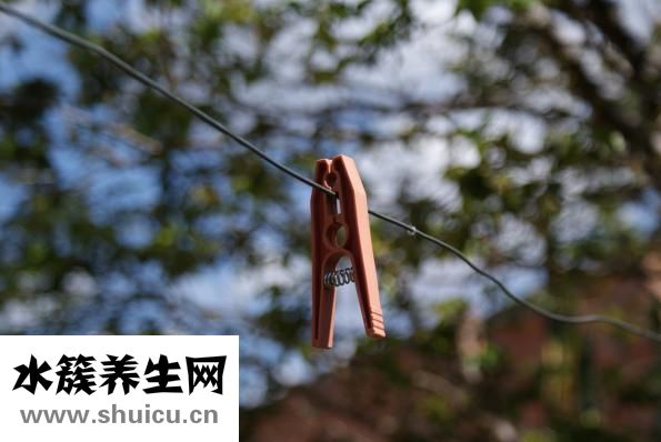 衣服吸灰尘怎么办
