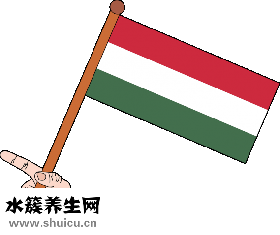 舞厅的女人怎么泡