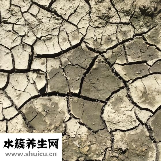 股骨头裂纹怎么办