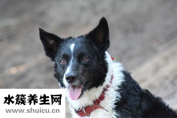 怎么找到德国男朋友