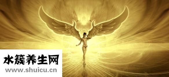 踝关节融合怎么做
