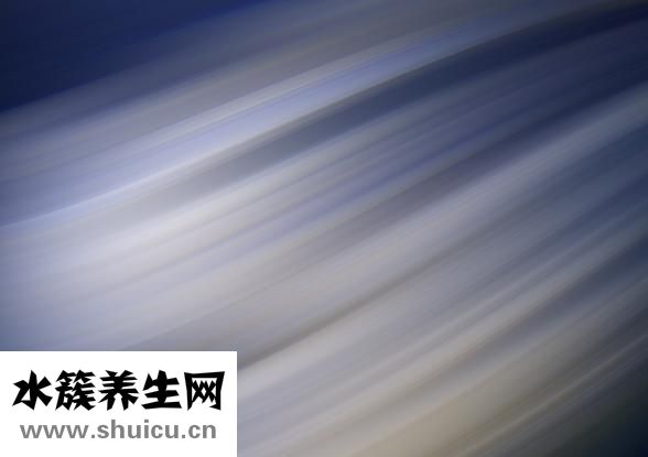 怎么做秀导