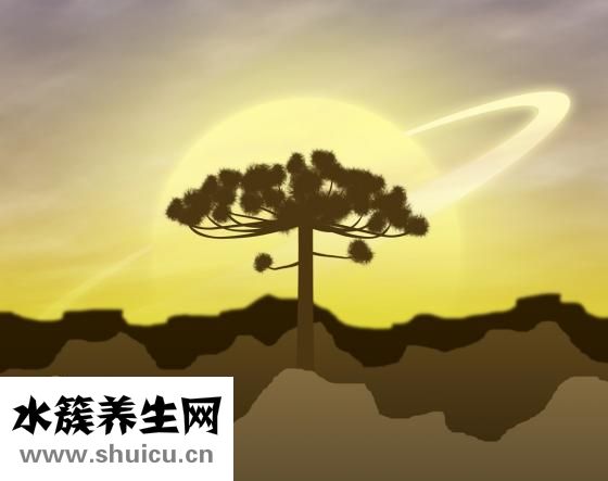 怎么拥有梦想