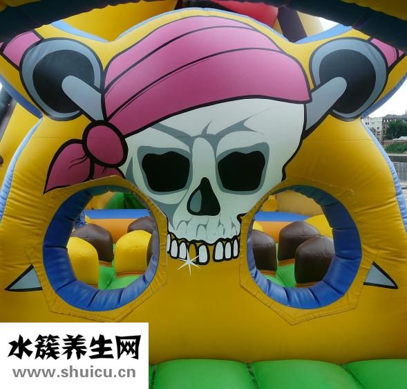 遇到豹子怎么办
