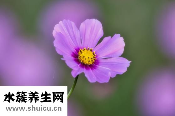 孩子饮食习惯怎么填