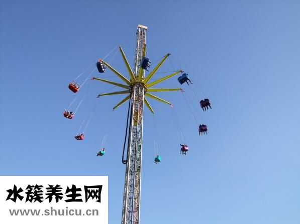 怎么做秀导