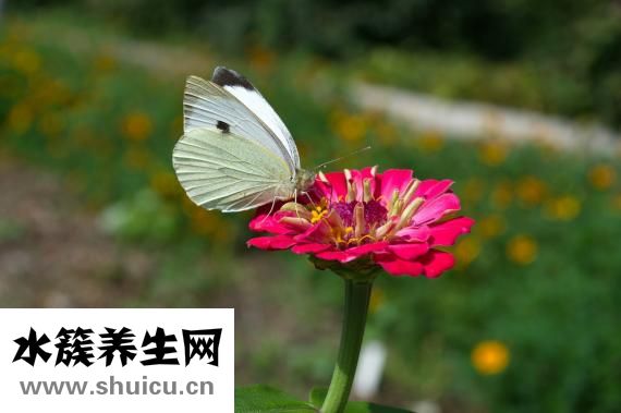 怎么破解行李箱密码
