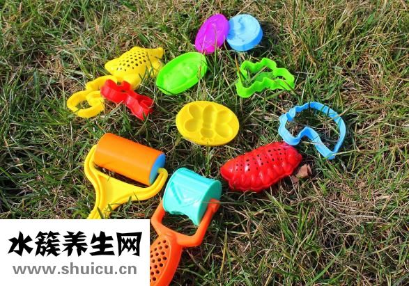 遇到豹子怎么办