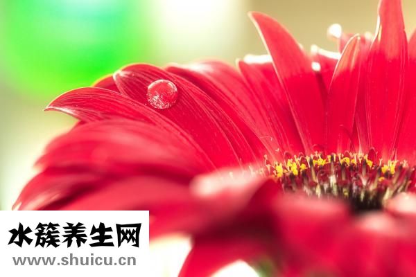 汗水多该怎么治