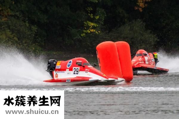 怎么做秀导