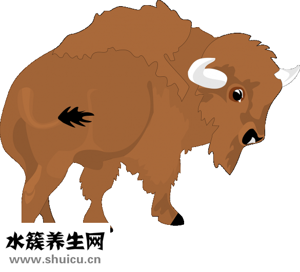 鹿尾巴怎么做