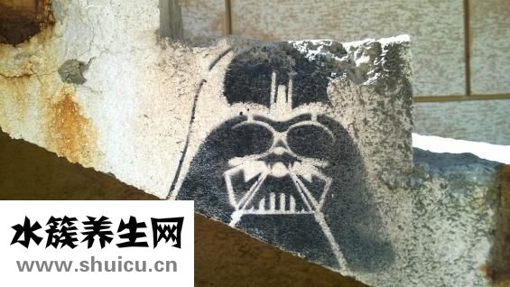 黄维德眼睛怎么变了