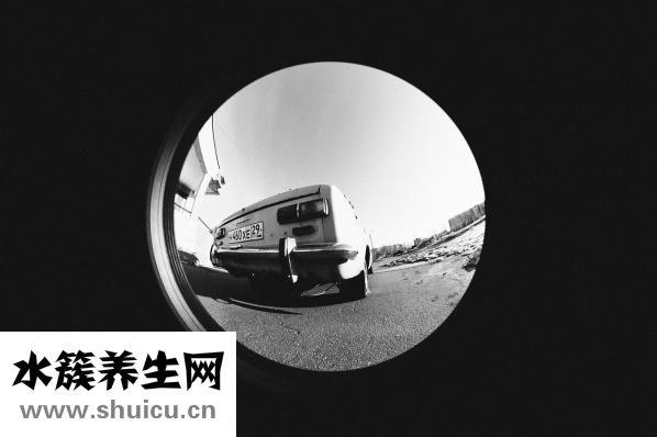 鱼肉眼怎么根治
