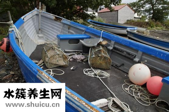 鱼生不出来怎么办
