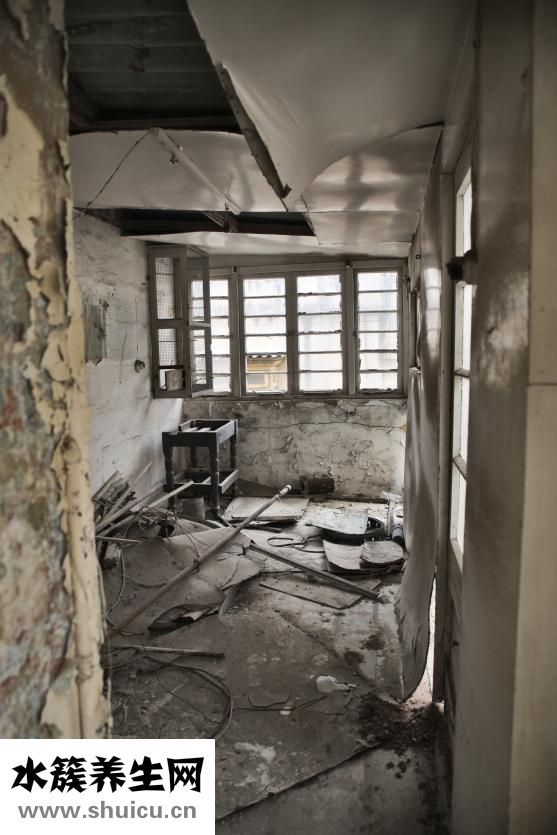 印泥发霉怎么办