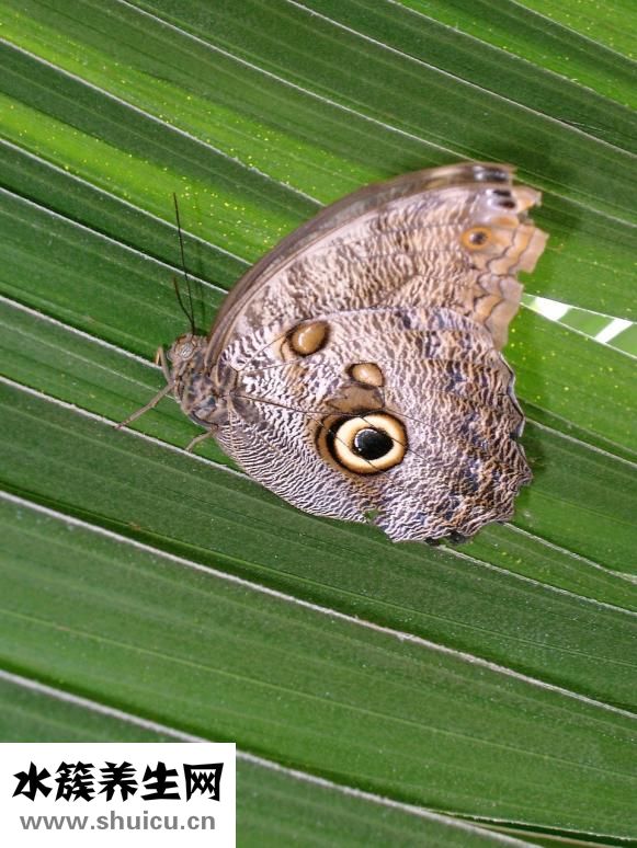 锦里沟怎么走