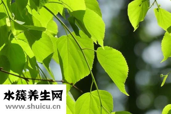 乱环境怎么调节？可去室内走动和多锻炼