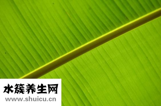 吃完香蕉胃疼怎么办