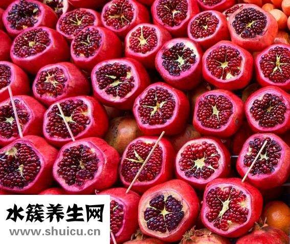 吃完的石榴籽怎么种