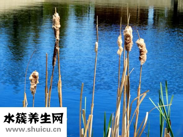 乱环境时应怎么调节