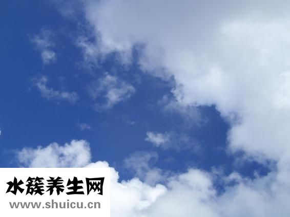 长期吸粉尘怎么办