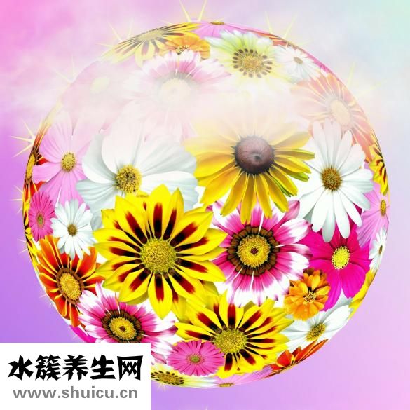 冬虫草筒骨汤怎么煮